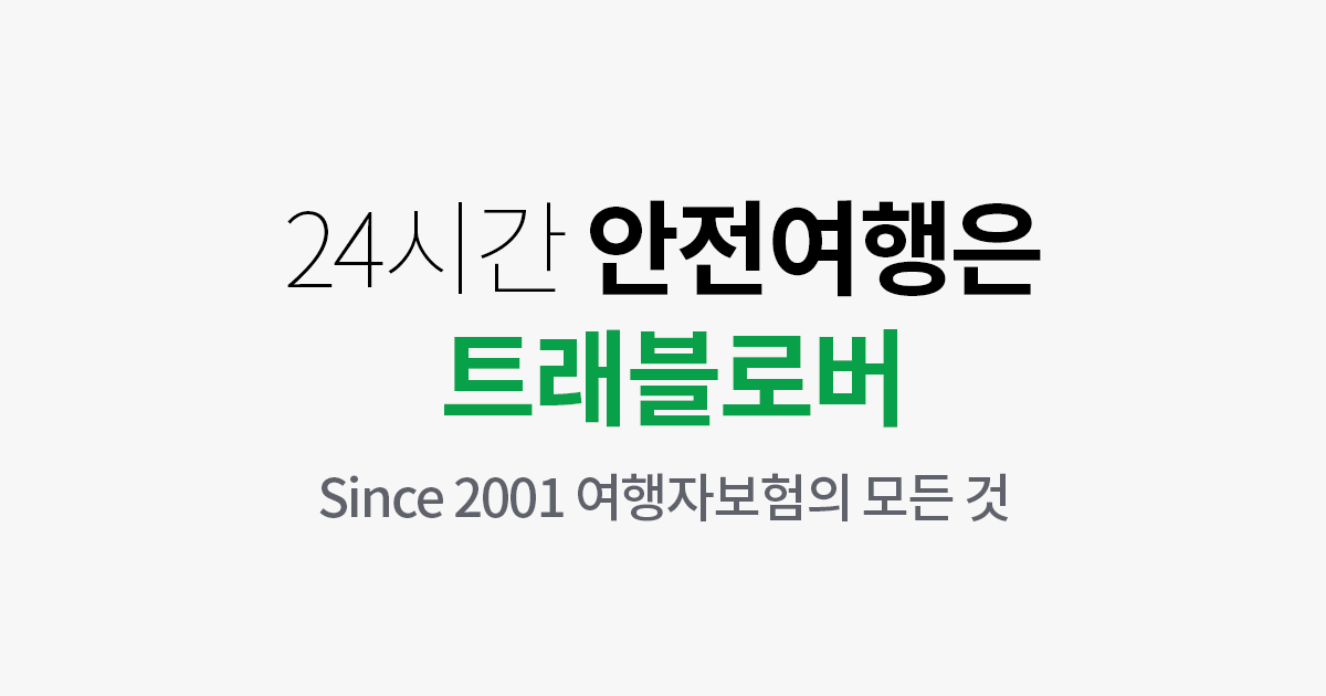트래블로버-여행자보험-추천 
